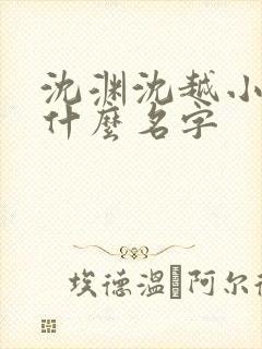 沈渊沈越小说叫什么名字