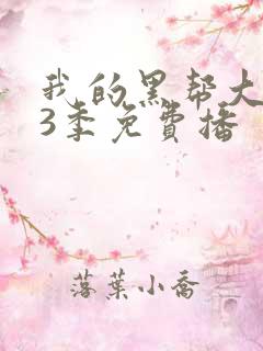 我的黑帮大佬第3季免费播