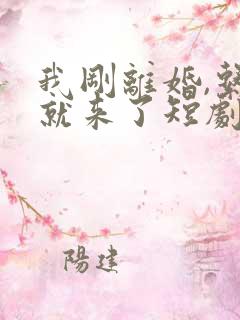 我刚离婚,系统就来了短剧在线观看