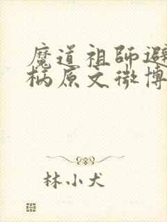 魔道祖师避尘剑柄原文微博