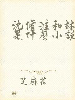 沈修淮和林筱筱是什么小说