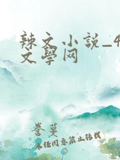 辣文小说_48文学网