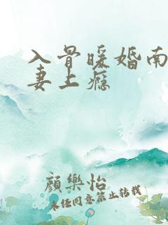 入骨暖婚南少宠妻上瘾