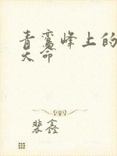 青鸾峰上的无敌天命