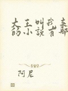 大王叫我来飙车的小说有哪些