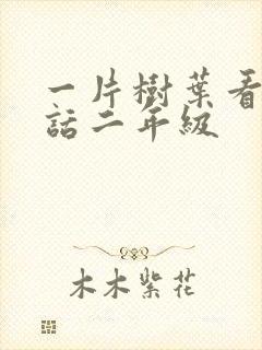 一片树叶看图写话二年级