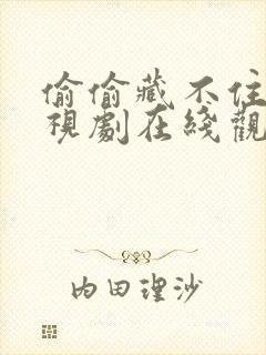 偷偷藏不住你电视剧在线观看免费