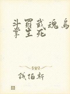 斗罗武魂乌鸦执掌生死