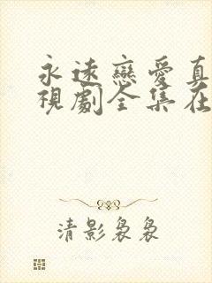 永远恋爱真美电视剧全集在线观看