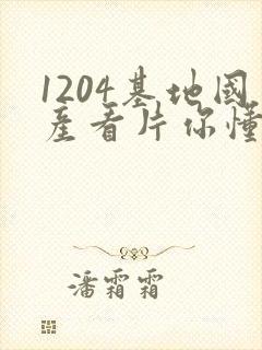 1204基地国产看片你懂的