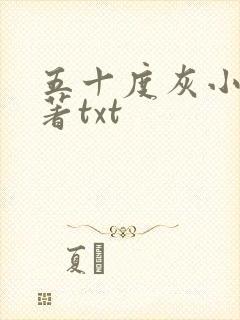 五十度灰小说原著txt