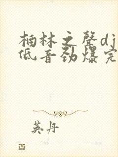 柏林之声dj重低音劲爆完整版