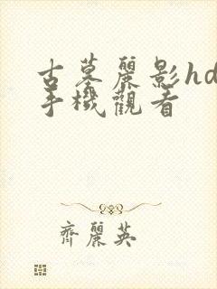 古墓丽影hd版手机观看