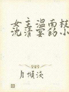 女主温南枝男主沈清宴的小说