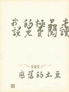 我的极品老婆小说免费阅读全文