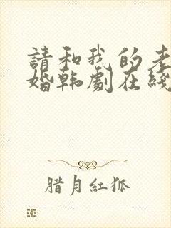 请和我的老公结婚韩剧在线