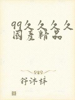 99久久久久久国产精品