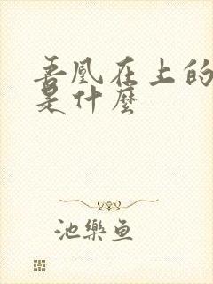 吾凰在上的结局是什么