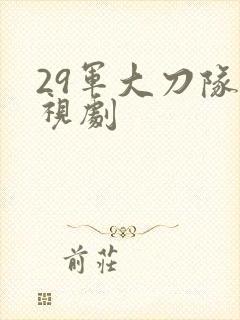 29军大刀队电视剧