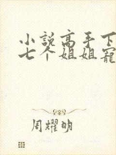 小说高手下山被七个姐姐宠上天免费