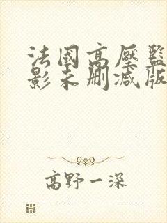 法国高压监狱电影未删减版