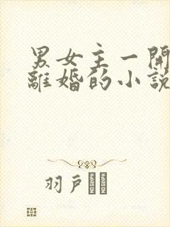 男女主一开始就离婚的小说