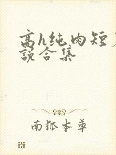 高h纯肉短篇小说合集