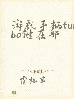 游戏手柄turbo键在哪