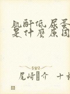 肌酐低尿蛋白高是什么原因造成的