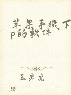 苹果手机下app的软件