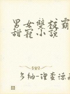 男女双校霸校园甜宠小说