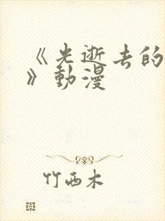 《光逝去的夏天》动漫