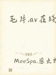 毛片,av在线