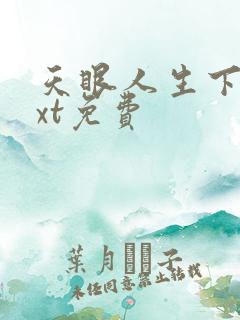 天眼人生下载txt免费