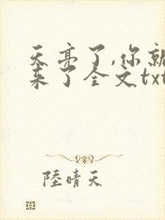 天亮了,你就回来了全文txt下载