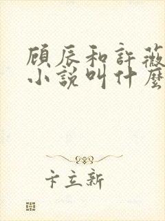 顾辰和许薇澜的小说叫什么名字