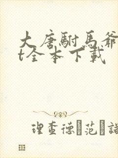 大唐驸马爷txt全本下载