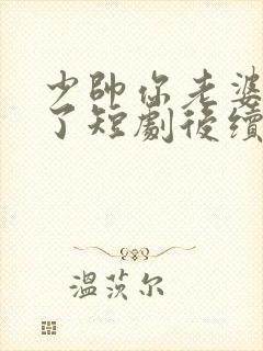 少帅你老婆又跑了短剧后续