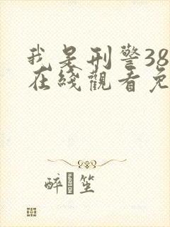 我是刑警38集在线观看免费