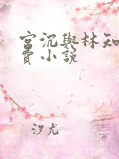 宫沉与林知意免费小说