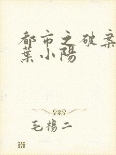 都市之破案狂少叶小阳