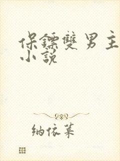 保镖双男主同人小说