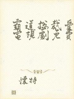 霸道总裁爱上我电视剧免费播放