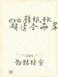 eva壁纸4k超清全面屏