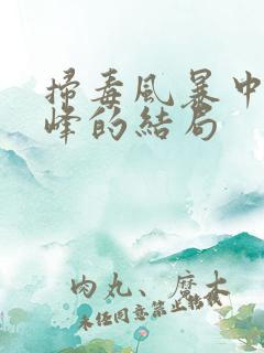 扫毒风暴中林强峰的结局