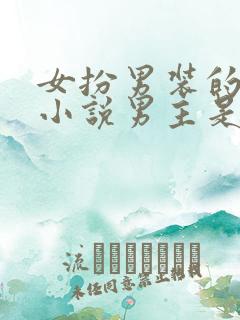 女扮男装的古言小说男主是皇帝