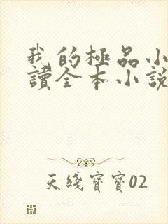 我的极品小姨阅读全本小说