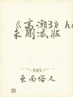 《高潮3》hd未删减版