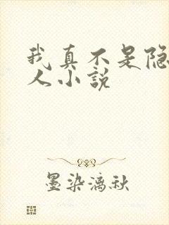 我真不是隐世高人小说