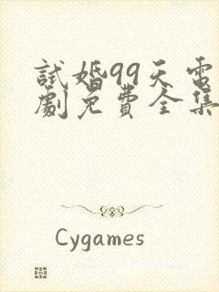 试婚99天电视剧免费全集